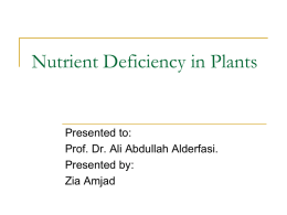 Nutrient Deficiency in Plants