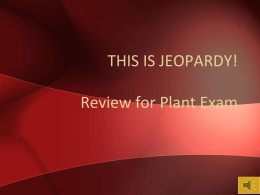 Plant Jeopardy for Exam
