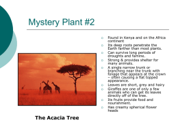 Plant Master PPT Example 1