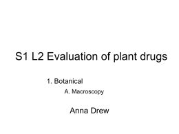 Evaluation of plant drugs: