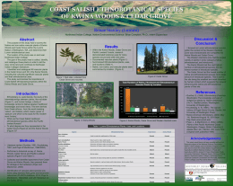 Preliminary Vascular Plant Survey of Cherry Point Salt Marsh