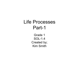 Life Processes Pt1