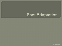 Root Adaptation - Noadswood Science