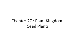 Chapters 27 and 35 Seed Plants PP Notes