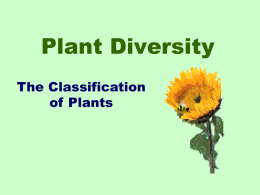 Plant Divisions1 - Turner