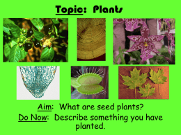 Plants - TeacherWeb