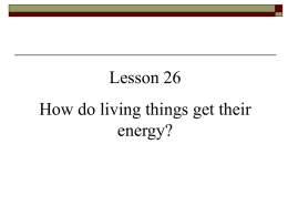 All living things need energy to carry out their life processes.