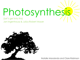 Research - Photosynthesis