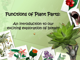Functions of Plant Parts: