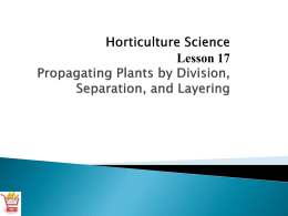 Propagating Plants by Division, Separation and Layering PPT