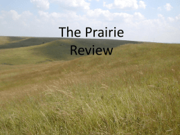 Prairie Powerpoint Review