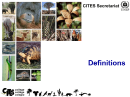 Important CITES definitions