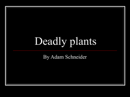 Deadly plants - conservation2009