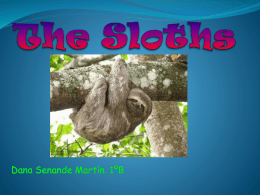 The Sloths - englishworkshopfalla