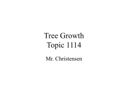 TREE GROWTH