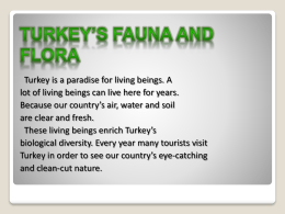 Turkey`s Flora and Fauna