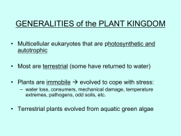 GENERALITIES of the PLANT KINGDOM