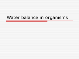 Water balance in organisms