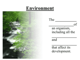 Environment NOTES