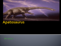 Josh`s Apatosaurus