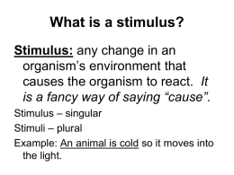 Stimulus and Response