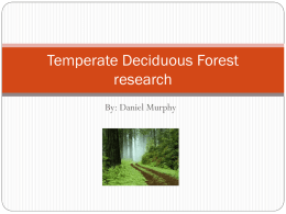 Temperate Deciduous Forest research - cooklowery14-15