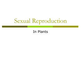 06 Sexual Reproduction plants