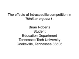 The effects of Intraspecific competition in Trifolium