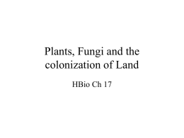 Plants, Fungi and the colonization of Land