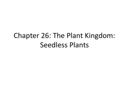 Chapter 26 Seedless Plants PP Notes
