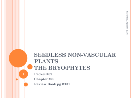 Seedless Non-Vascular Plants The Bryophytes