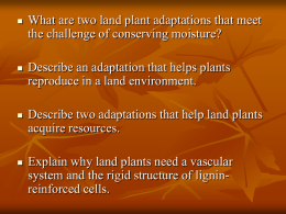 Land Plants