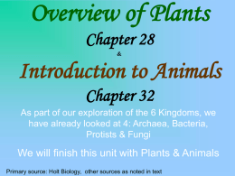 Overview of Plants Chapter 28 Introduction to Animals Chapter 32