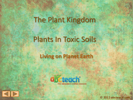 Living on Planet Earth © 2011 abcteach.com Too Many Minerals