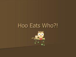 Hoo Eats Who?!