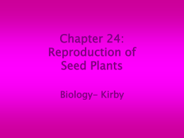 Chapter 24: Reproduction of Seed Plants