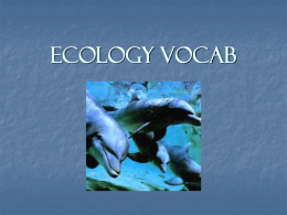 Ecology Vocab