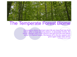 The Temperate Forest Biome - JBHA-Sci-US-tri1