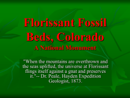 Florissant Fossil Beds, Colorado