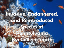 colleen_endangered_species