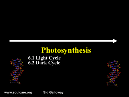 Calvin Cycle - Kowenscience.com