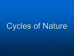 Cycles of Matter PowerPoint