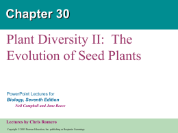 Chapter 30 Plant Diversity II