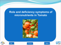 Role and deficiency symptoms of micronutrients in Tomato