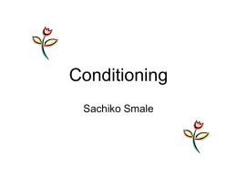 Conditioning - Flower