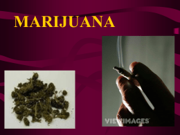 marijuana - World of Teaching