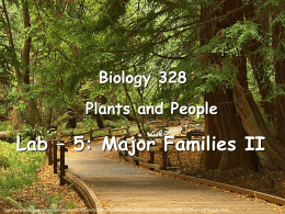 Bio328_lab5_major_families_II