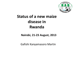 Status of a new maize disease in Rwanda. (Gafishi