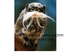 time to monkey around!!!!!
