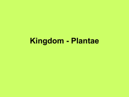 Kingdom - Plantae